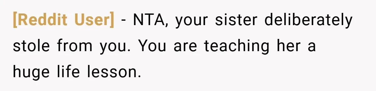[Reddit User] − NTA, your sister deliberately stole from you. You are teaching her a huge life lesson.