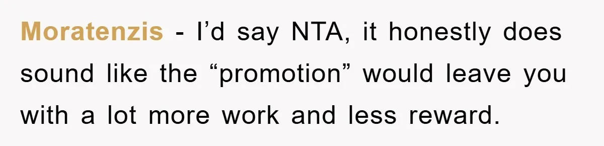 Moratenzis − I’d say NTA, it honestly does sound like the “promotion” would leave you with a lot more work and less reward.