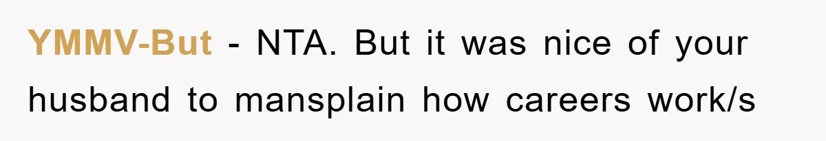 YMMV-But − NTA. But it was nice of your husband to mansplain how careers work/s