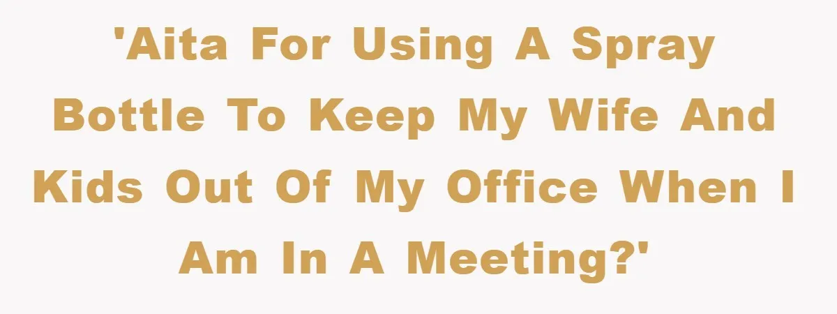 Man Working From Home “Trains” His Wife Like A Cat During Meetings, Internet Divided 'AITA for using a spray bottle to keep my wife and kids out of my office when I am in a meeting?'