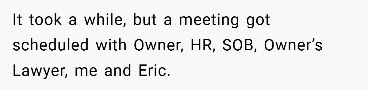 It took a while, but a meeting got scheduled with Owner, HR, SOB, Owner’s Lawyer, me and Eric.