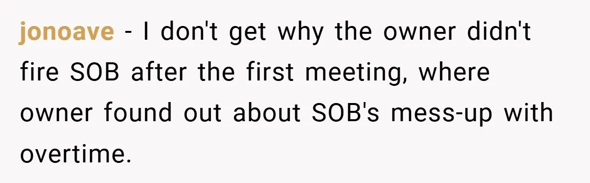 jonoave − I don't get why the owner didn't fire SOB after the first meeting, where owner found out about SOB's mess-up with overtime.