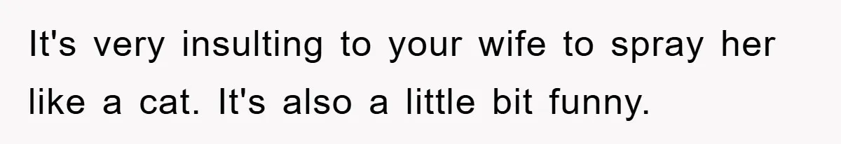 Man Working From Home “Trains” His Wife Like A Cat During Meetings, Internet Divided It's very insulting to your wife to spray her like a cat. It's also a little bit funny.