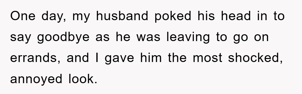 Man Working From Home “Trains” His Wife Like A Cat During Meetings, Internet Divided One day, my husband poked his head in to say goodbye as he was leaving to go on errands, and I gave him the most shocked, annoyed look.