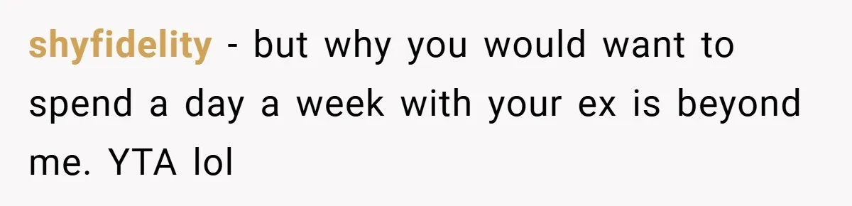 shyfidelity − but why you would want to spend a day a week with your ex is beyond me. YTA lol