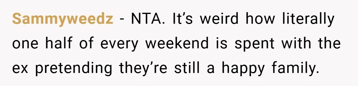 Sammyweedz − NTA. It’s weird how literally one half of every weekend is spent with the ex pretending they’re still a happy family.