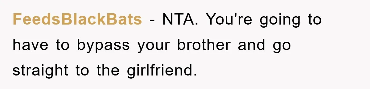 FeedsBlackBats − NTA. You're going to have to bypass your brother and go straight to the girlfriend.