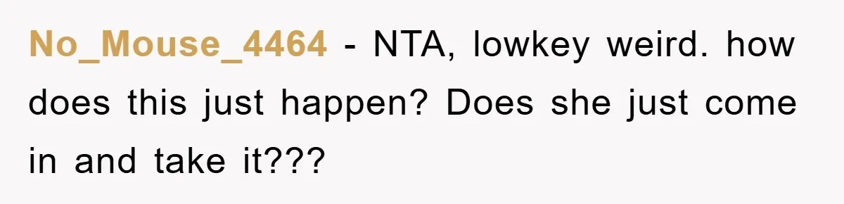 No_Mouse_4464 − NTA, lowkey weird. how does this just happen? Does she just come in and take it???