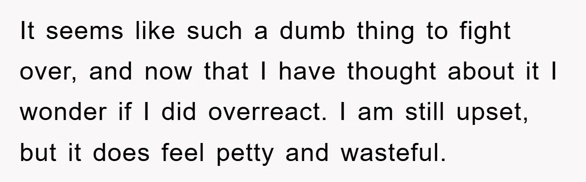 It seems like such a dumb thing to fight over, and now that I have thought about it I wonder if I did overreact. I am still upset, but it...
