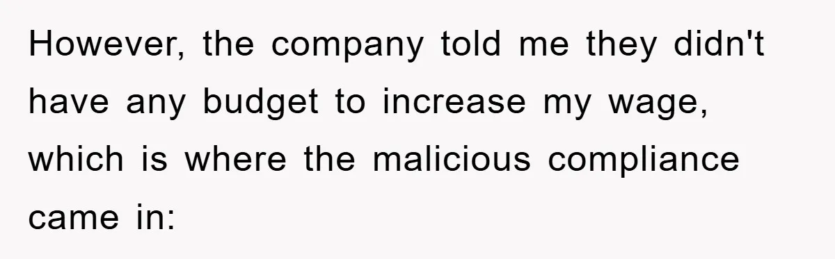 However, the company told me they didn't have any budget to increase my wage, which is where the malicious compliance came in: