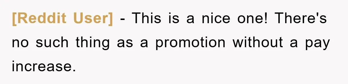 [Reddit User] − This is a nice one! There's no such thing as a promotion without a pay increase.