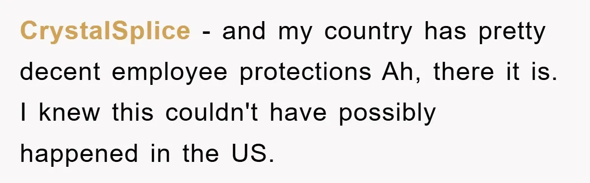CrystalSplice − and my country has pretty decent employee protections Ah, there it is. I knew this couldn't have possibly happened in the US.