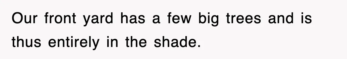 Our front yard has a few big trees and is thus entirely in the shade.