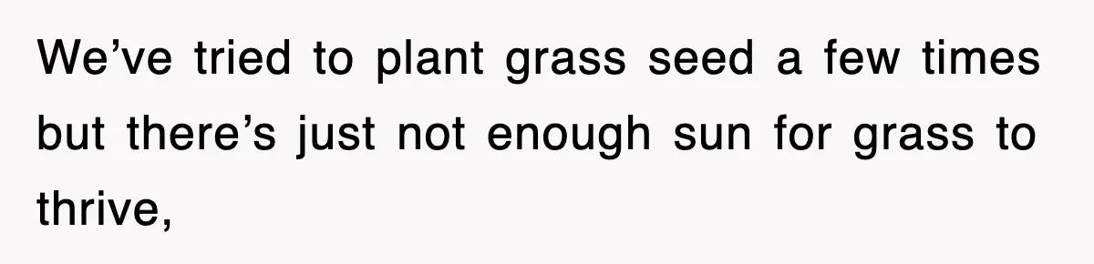 We’ve tried to plant grass seed a few times but there’s just not enough sun for grass to thrive,