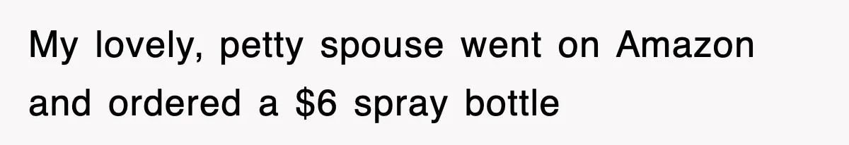 My lovely, petty spouse went on Amazon and ordered a $6 spray bottle