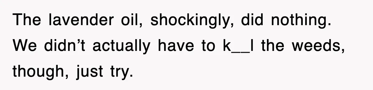 The lavender oil, shockingly, did nothing. We didn’t actually have to k__l the weeds, though, just try.