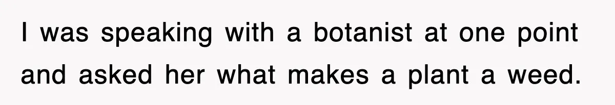 I was speaking with a botanist at one point and asked her what makes a plant a weed.