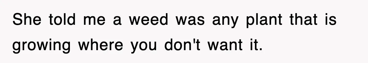 She told me a weed was any plant that is growing where you don't want it.
