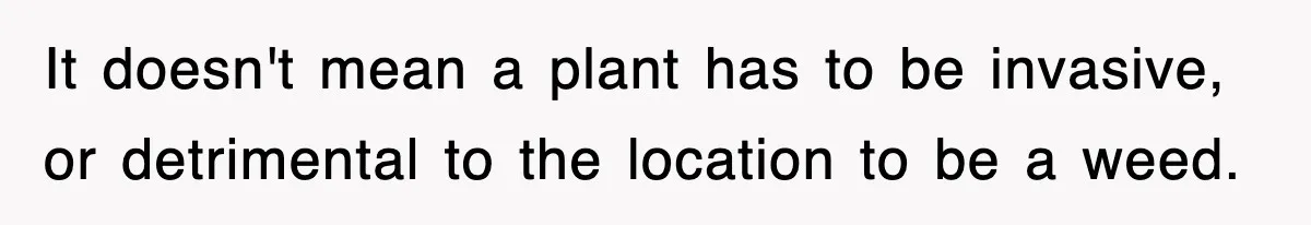 It doesn't mean a plant has to be invasive, or detrimental to the location to be a weed.