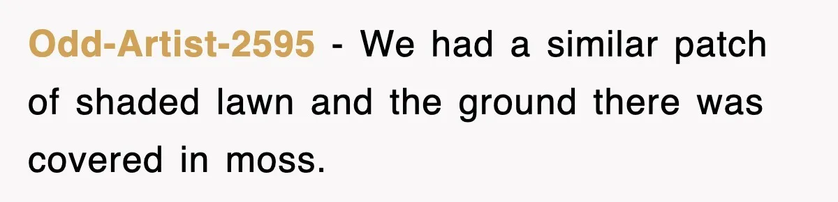Odd-Artist-2595 − We had a similar patch of shaded lawn and the ground there was covered in moss.