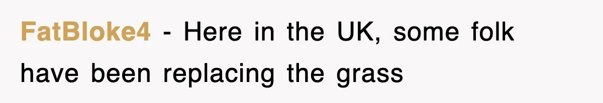FatBloke4 − Here in the UK, some folk have been replacing the grass