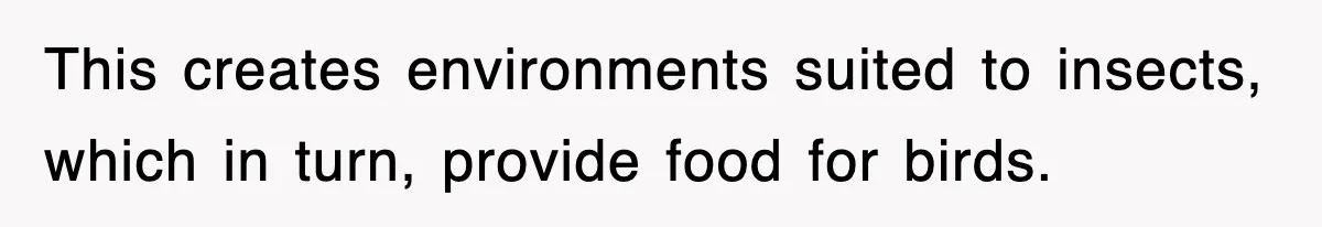 This creates environments suited to insects, which in turn, provide food for birds.