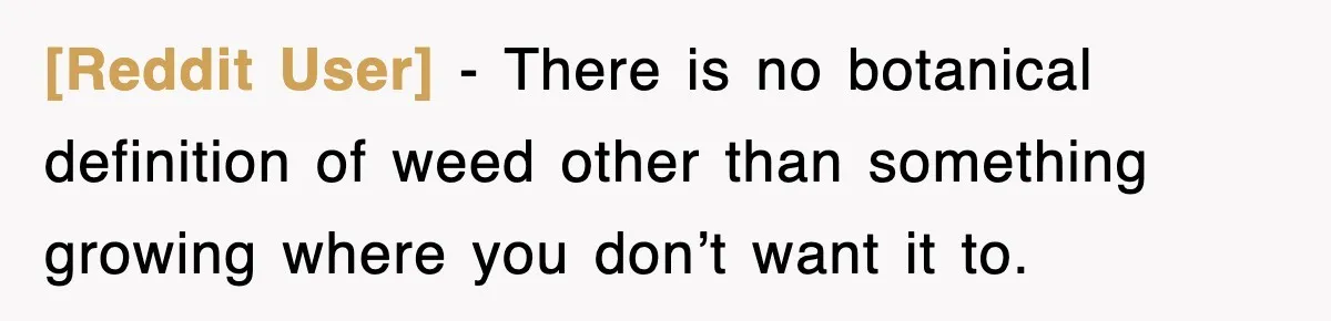 [Reddit User] − There is no botanical definition of weed other than something growing where you don’t want it to.