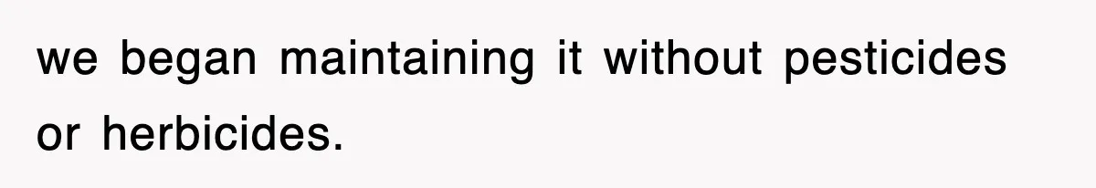 we began maintaining it without pesticides or herbicides.