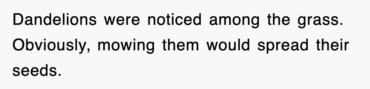 Dandelions were noticed among the grass. Obviously, mowing them would spread their seeds.