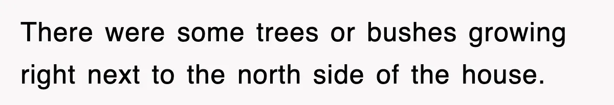 There were some trees or bushes growing right next to the north side of the house.