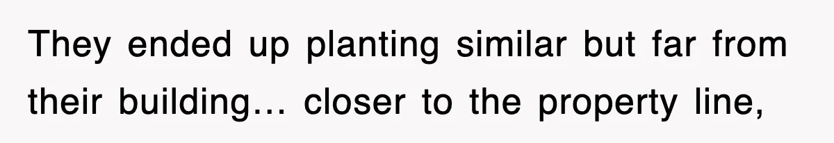They ended up planting similar but far from their building… closer to the property line,