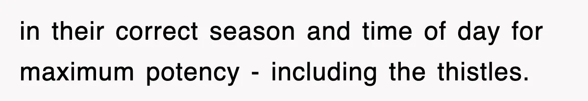 in their correct season and time of day for maximum potency - including the thistles.
