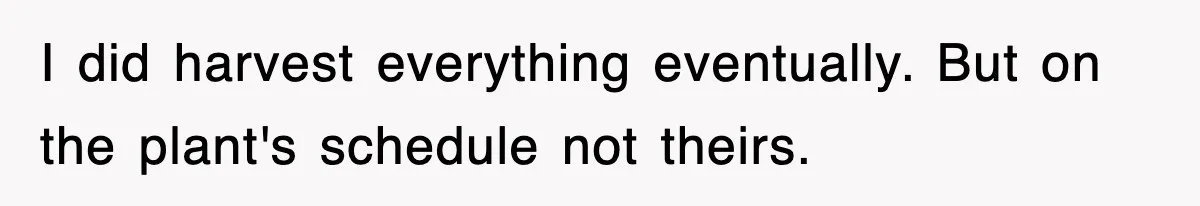 I did harvest everything eventually. But on the plant's schedule not theirs.