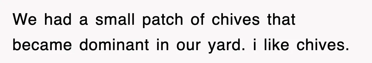 We had a small patch of chives that became dominant in our yard. i like chives.