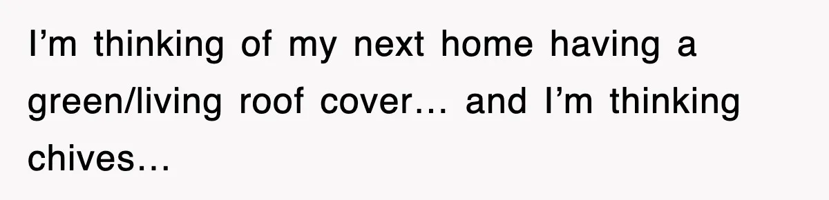 I’m thinking of my next home having a green/living roof cover… and I’m thinking chives…