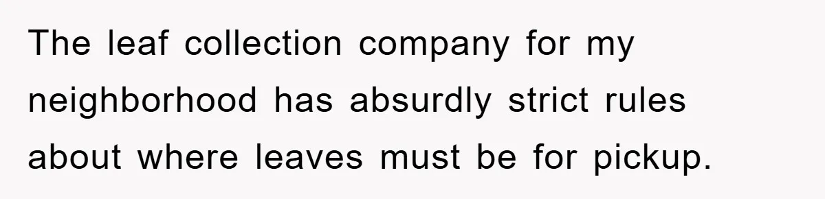 The leaf collection company for my neighborhood has absurdly strict rules about where leaves must be for pickup.