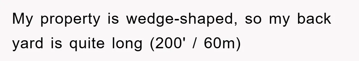 My property is wedge-shaped, so my back yard is quite long (200' / 60m)