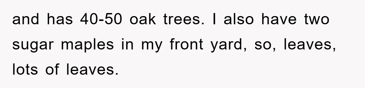 and has 40-50 oak trees. I also have two sugar maples in my front yard, so, leaves, lots of leaves.
