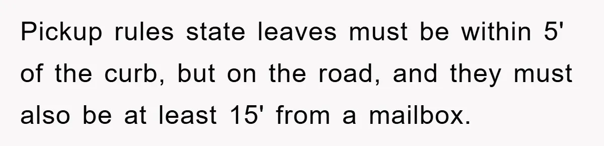 Pickup rules state leaves must be within 5' of the curb, but on the road, and they must also be at least 15' from a mailbox.