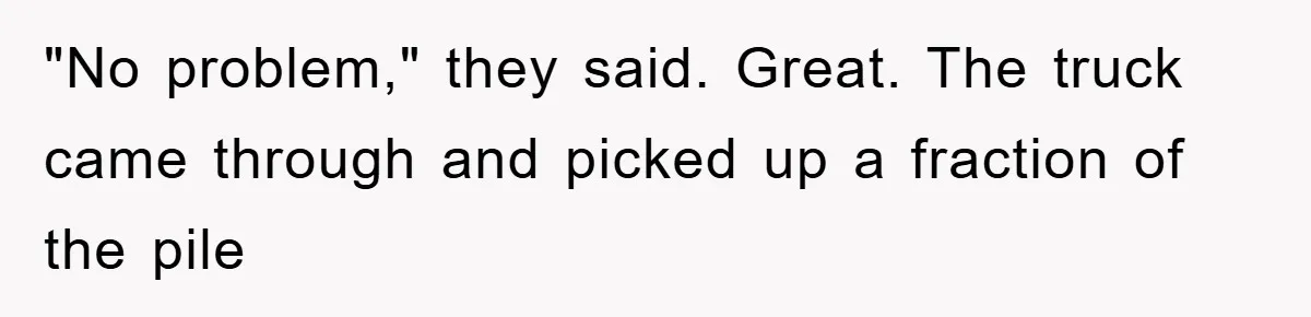 "No problem," they said. Great. The truck came through and picked up a fraction of the pile