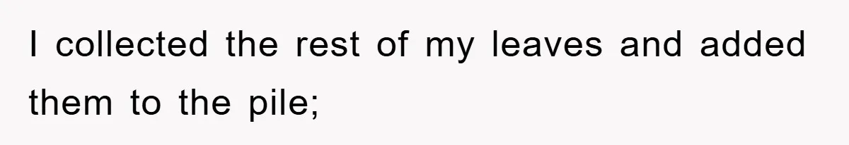 I collected the rest of my leaves and added them to the pile;