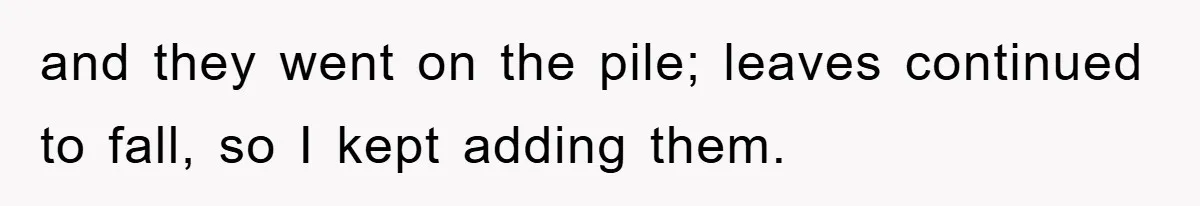 and they went on the pile; leaves continued to fall, so I kept adding them.