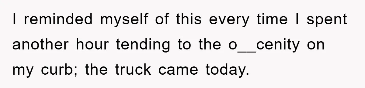 I reminded myself of this every time I spent another hour tending to the o__cenity on my curb; the truck came today.