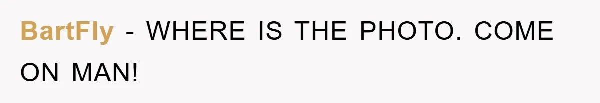 BartFly − WHERE IS THE PHOTO. COME ON MAN!
