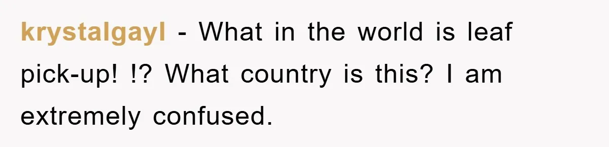 krystalgayl − What in the world is leaf pick-up! !? What country is this? I am extremely confused.