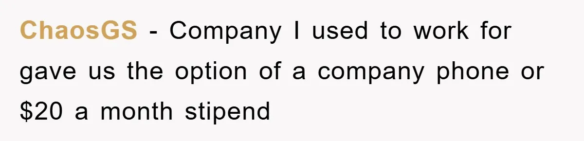 ChaosGS − Company I used to work for gave us the option of a company phone or $20 a month stipend