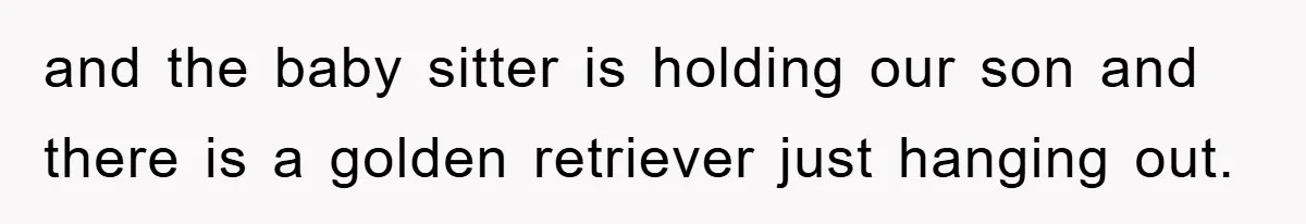 and the baby sitter is holding our son and there is a golden retriever just hanging out.