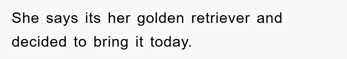 She says its her golden retriever and decided to bring it today.