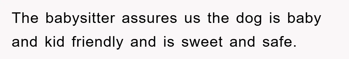 The babysitter assures us the dog is baby and kid friendly and is sweet and safe.