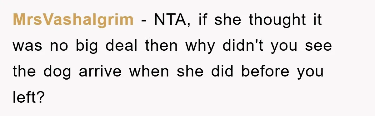 MrsVashalgrim − NTA, if she thought it was no big deal then why didn't you see the dog arrive when she did before you left?